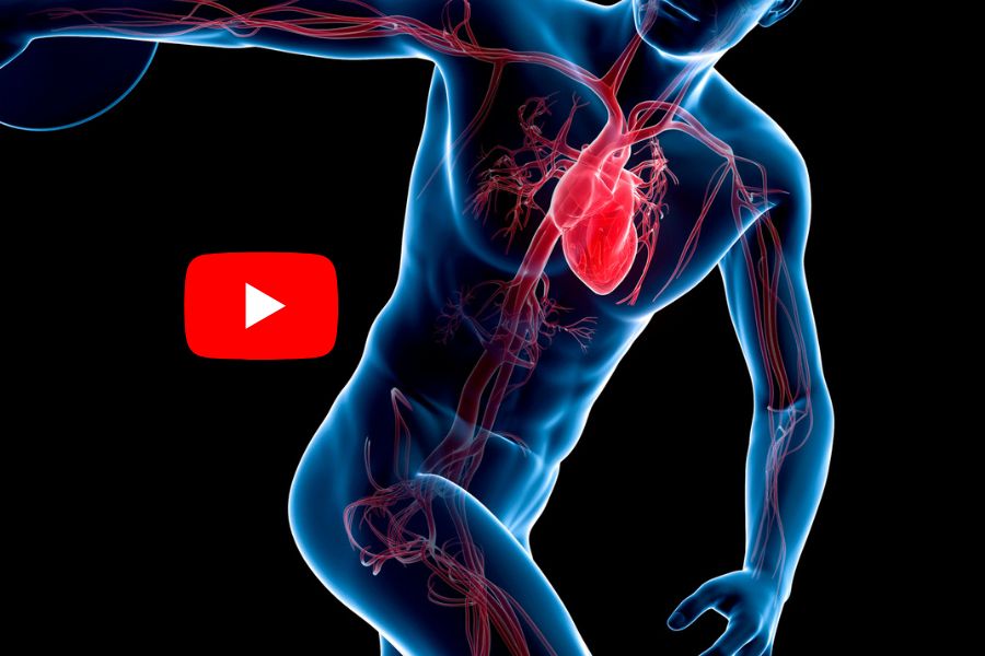Ver video sobre enfermedades cardiovasculares en YouTube 